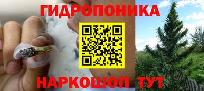индика Комсомольск-на-Амуре